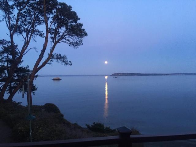 Puget Sound Chic Romantic Cottage With Private Beach Access & Gated Entry Port Ludlow Eksteriør billede