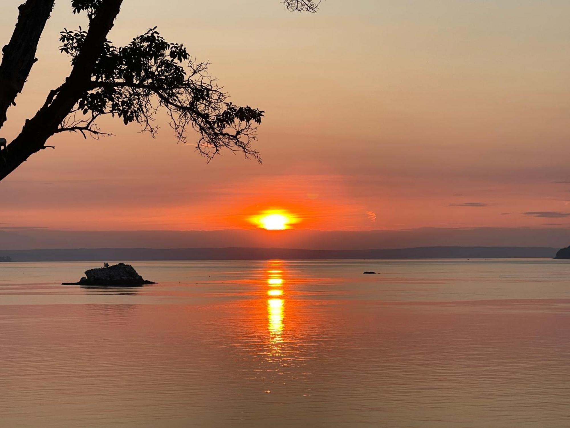 Puget Sound Chic Romantic Cottage With Private Beach Access & Gated Entry Port Ludlow Eksteriør billede