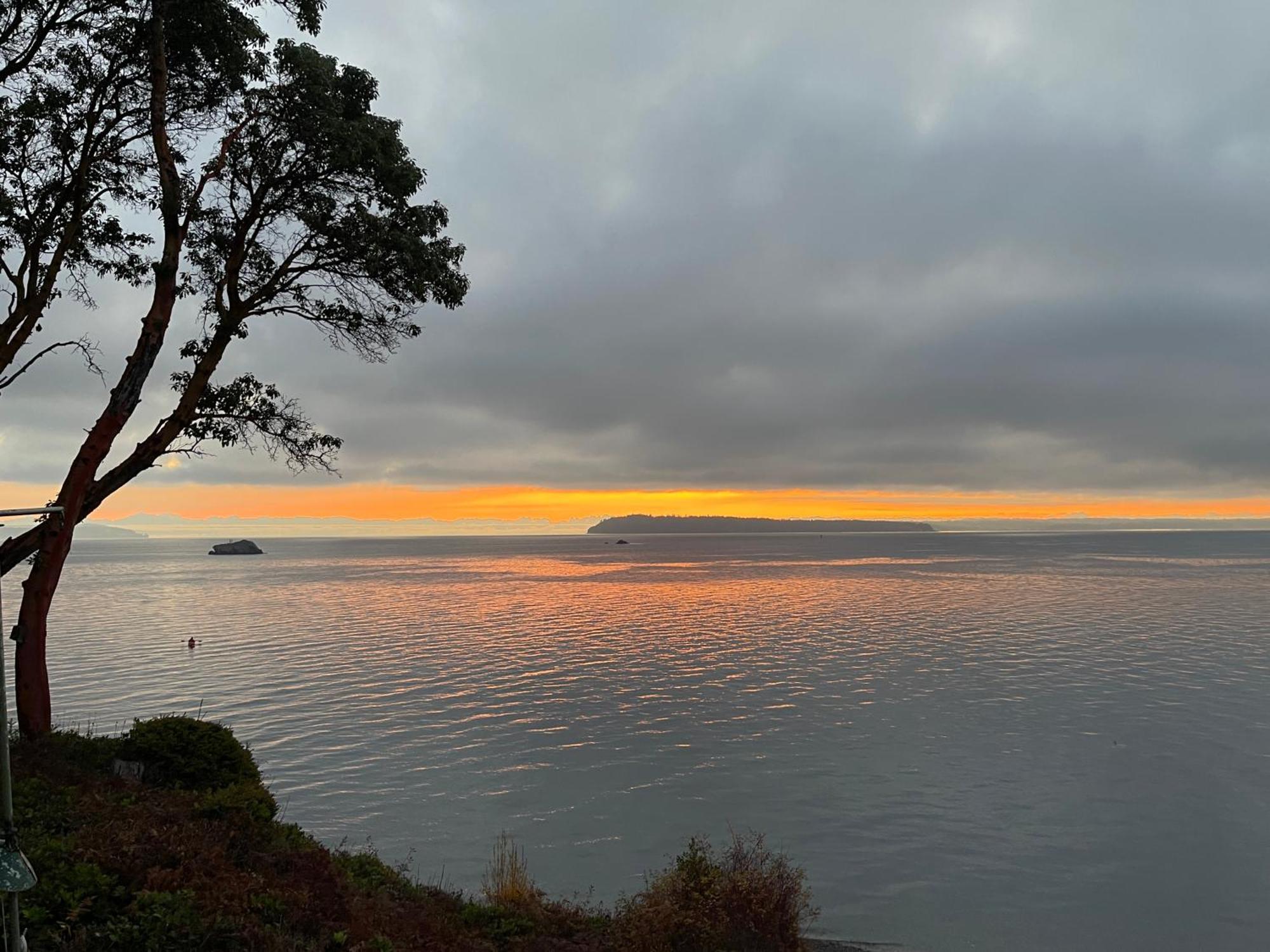 Puget Sound Chic Romantic Cottage With Private Beach Access & Gated Entry Port Ludlow Eksteriør billede